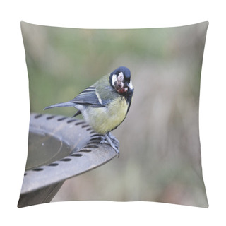 Personality  Great Tit, Parus Major Pillow Covers