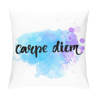 Personality  Carpe Diem - Latin Phrase Pillow Covers