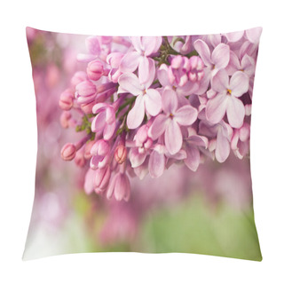 Personality  Lilac Flowers In Botanical Garden Pillow Covers