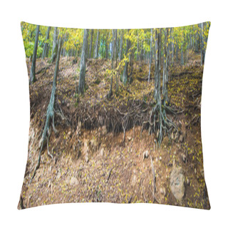 Personality  Autumn Forest On Edge Of Ravine Pillow Covers