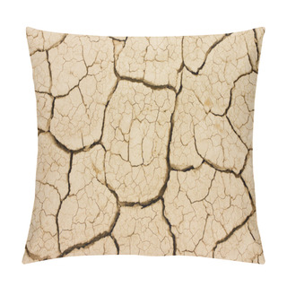 Personality  Dry Land Pillow Covers