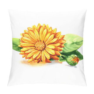 Personality  Calendula. Marigold Flowers With Leaves Isolated On White Pillow Covers