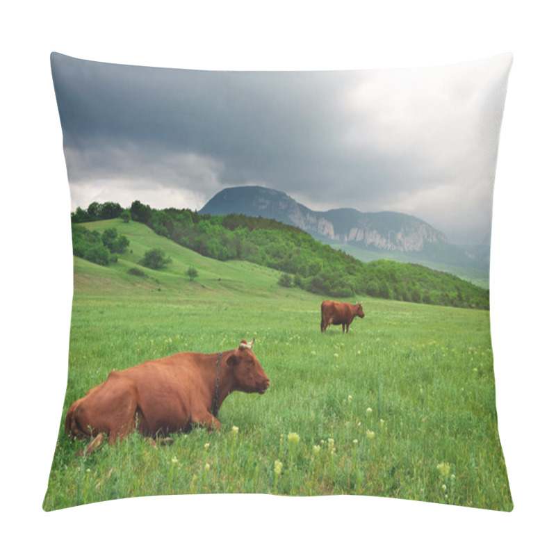 Personality  Landscape with cow and cloudy sky. Nature composition pillow covers