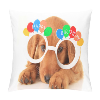 Personality  Happy Birthday Puppy Pillow Covers
