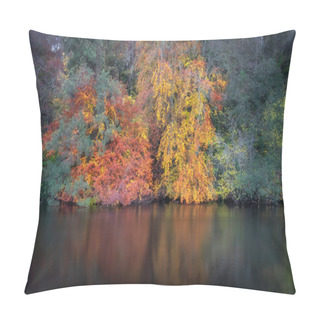 Personality  Beautiful Trees And Forest In Vibrant Autumn Colours Reflected In Blurred Waters Of Liffey River. St. Catherines Park, Dublin, Ireland Pillow Covers