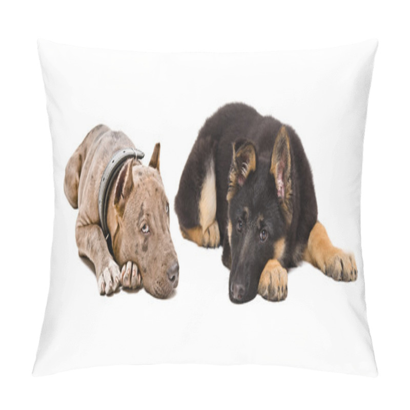 Personality  Puppies pit bull and German Shepherd pillow covers