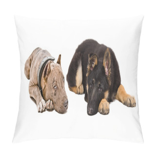 Personality  Puppies Pit Bull And German Shepherd Pillow Covers