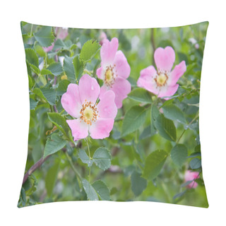 Personality  Dog Rose Rosa Canina Flowers Pillow Covers