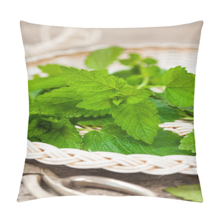 Personality  Fresh Mint Leaves Pillow Covers