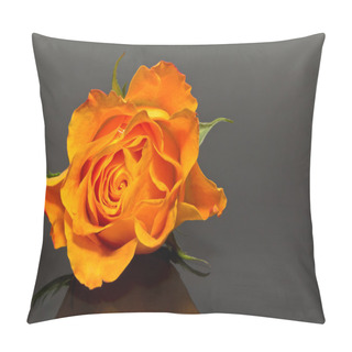 Personality  Single Flower Of Yellow Rose Isolated On Dark Background Pillow Covers