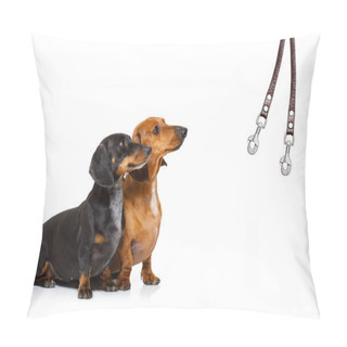 Personality  Couple Of Dogs And Owner  With Leash Pillow Covers