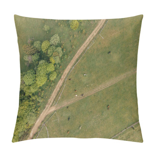 Personality  Cattle Pillow Covers