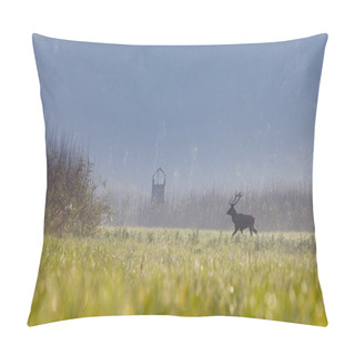Personality  Red Deer Walking On Meadow Pillow Covers