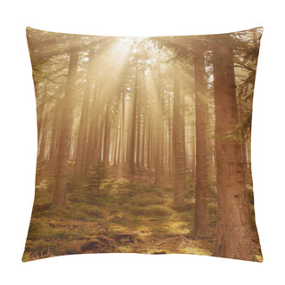 Personality  Mystical Forest Mood In The Sunlight Pillow Covers