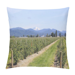 Personality  Blueberry Field And Mountains Pillow Covers