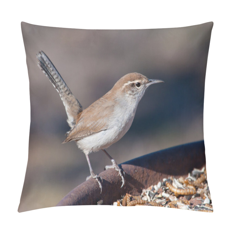 Personality  Bewick's Wren Perched On A Feeding Station In Winter Pillow Covers