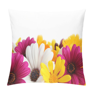 Personality  Spring Daisy Border Pillow Covers