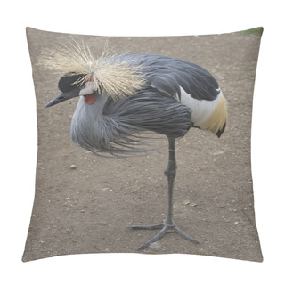 Personality  Standing Crowned Crane Pillow Covers