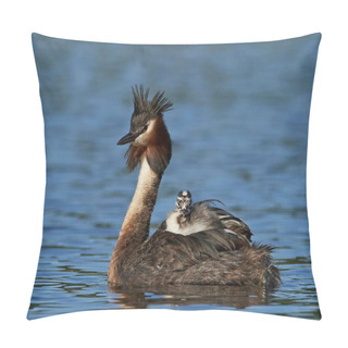 Personality  Great Crested Grebe In Its Natural Habitat In Denmark Pillow Covers