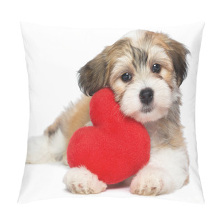 Personality  Lover Valentine Havanese Puppy Pillow Covers