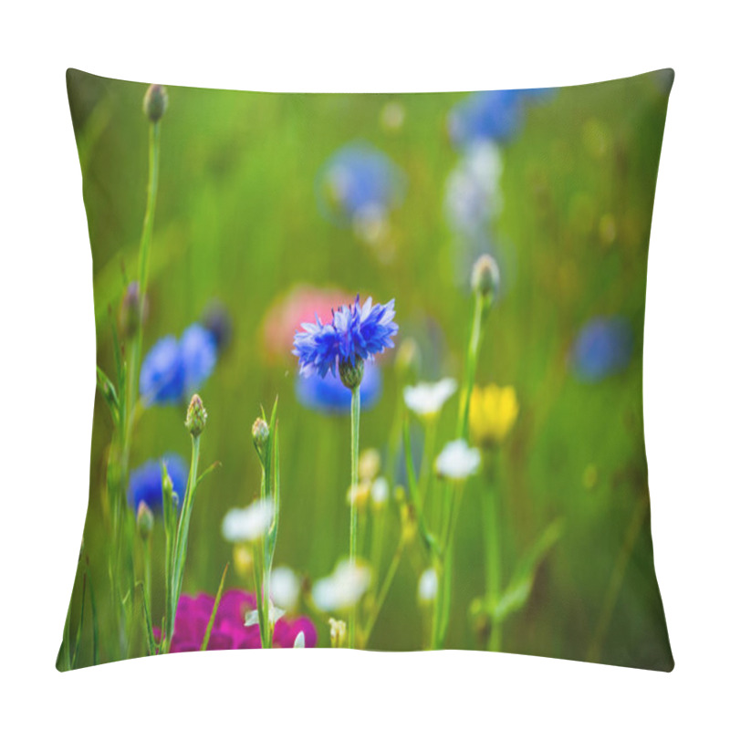 Personality  cornflower in the meadow, floral , flower pillow covers
