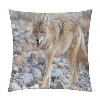 Personality  Coyote Strolling Pillow Covers