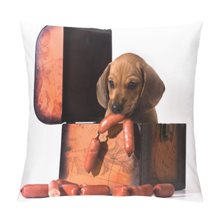 Personality  Puppy Hiding Sausages In The Chest Pillow Covers