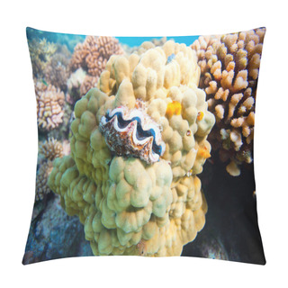 Personality  Coral Reef Pillow Covers