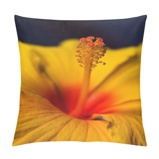 Personality  Stamens And Pistils Of An Orange Hibiscus Pillow Covers
