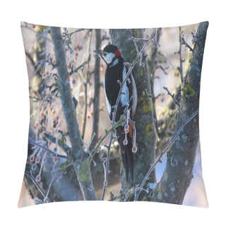 Personality  Woodpecker Sitting On The Tree Pillow Covers