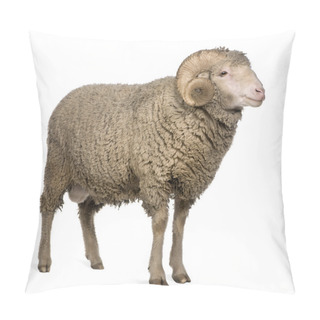 Personality  Arles Merino Sheep, Ram, 3 Years Old, Standing In Front Of White Background Pillow Covers