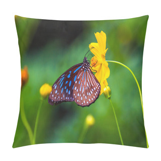 Personality  A Beautiful Butterfly On A Flower. Pillow Covers