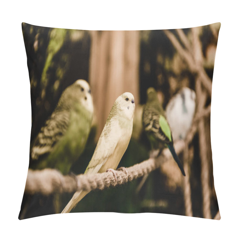 Personality  selective focus of parrots sitting on metallic cage in zoo pillow covers