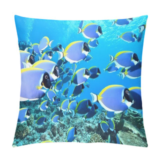 Personality  Powder Blue Surgeonfish Pillow Covers
