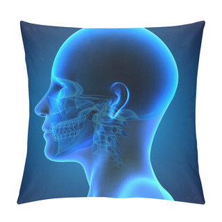 Personality  Skull Pillow Covers