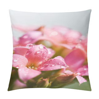 Personality  Water Drops In The Pink Flowers Pillow Covers