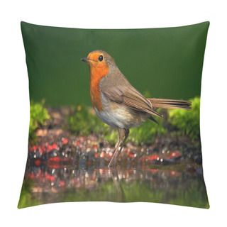 Personality  European Robin Sitting In The Water Pillow Covers