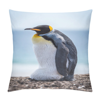 Personality  King Penguin Carrying Egg On Shingle Beach Pillow Covers