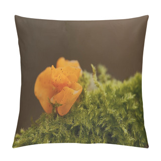 Personality  A Golden Yellow Tremella Is Surrounded By Green Moss Against A Brown Background Pillow Covers