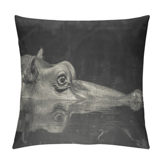 Personality  Hippo In Wild Nature, South Africa Pillow Covers