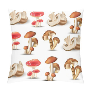 Personality  Mushrooms Set Collection Vector. Autumn Harvest Pillow Covers