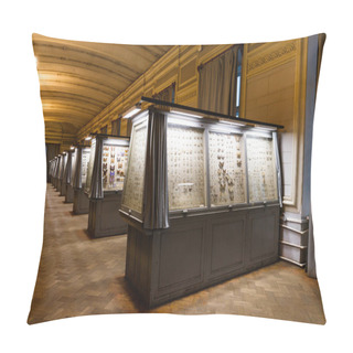 Personality  St. Petersburg, Russia - January 13, 2020: Zoological Museum. Selective Focus On Butterfly Collection Set In Museum. View Of The Rows Of Showcases With Various Collections  Pillow Covers