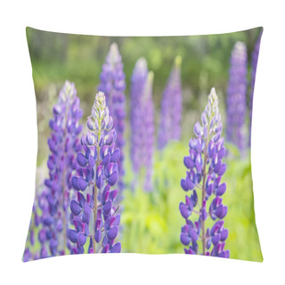 Personality  Lupinus Polyphyllus Flowers Pillow Covers