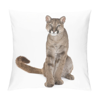 Personality  Portrait Of Puma Cub, Puma Concolor, 1 Year Old, Sitting, Studio Pillow Covers