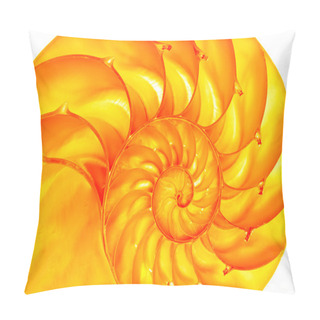 Personality  Golden Nautilus Pillow Covers