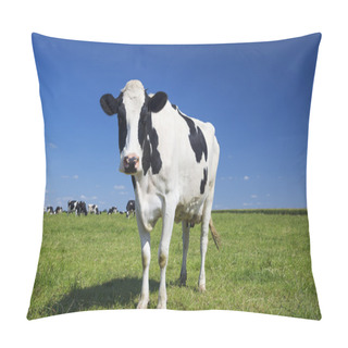 Personality  Cow On Green Grass With Blue Sky Pillow Covers