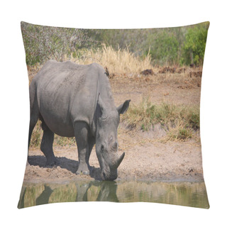 Personality  Breitmaulnashorn Und Rotschnabel-Madenhacker / Square-lipped Rhinoceros And Red-billed Oxpecker / Ceratotherium Simum Et Buphagus Erythrorhynchus Pillow Covers