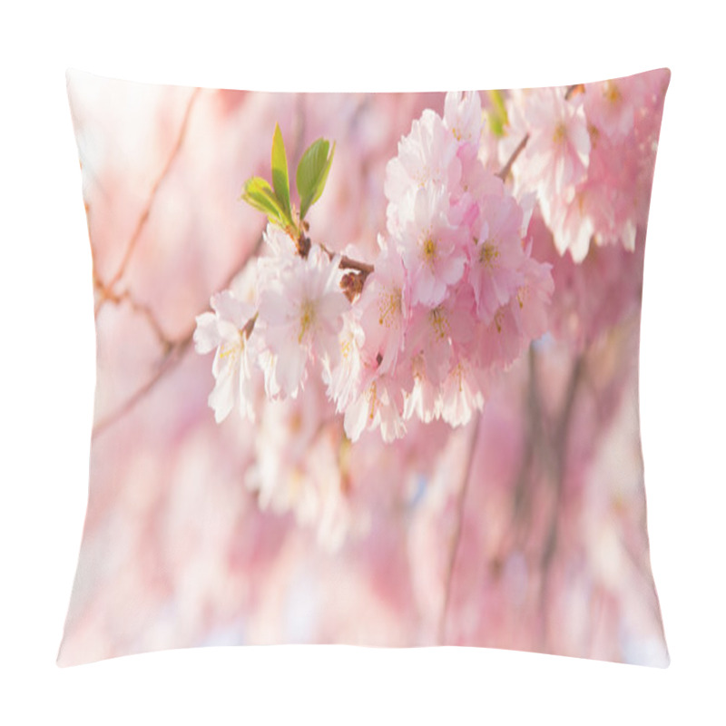 Personality  Spring border background with pink blossom pillow covers