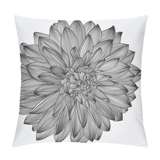 Personality  Ink Drawing Of Black Dahlia Flower, Element For Your Design Pillow Covers
