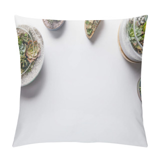 Personality  Top View Of Green Succulents In Glass Flowerpots On White Background Pillow Covers